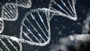 Extraction d'un ADN lors d'une anlayse génétique