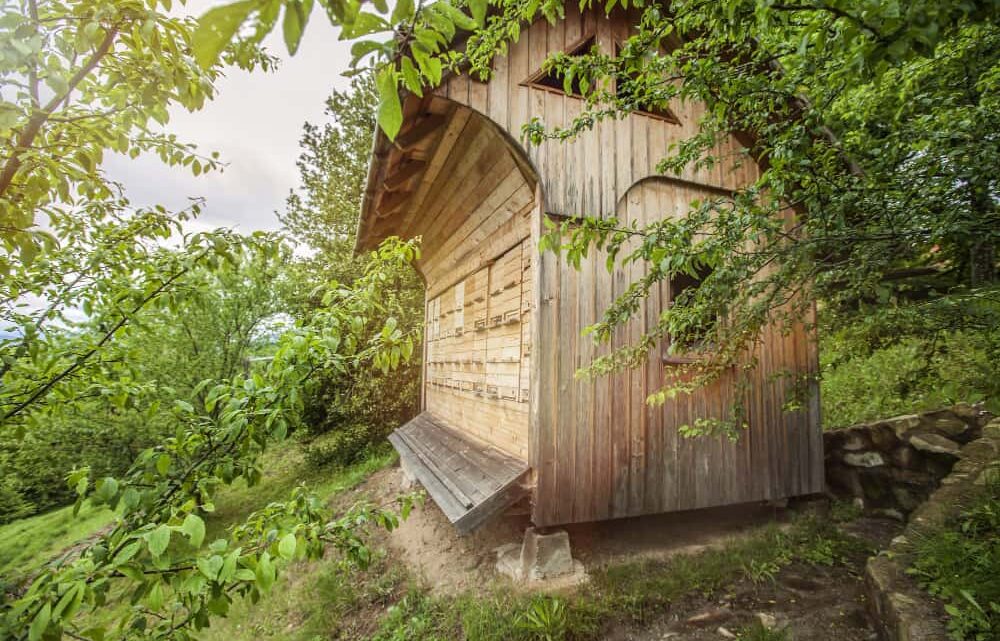 L’Essentiel des Abris de Jardin en Bois : Un Guide Complet