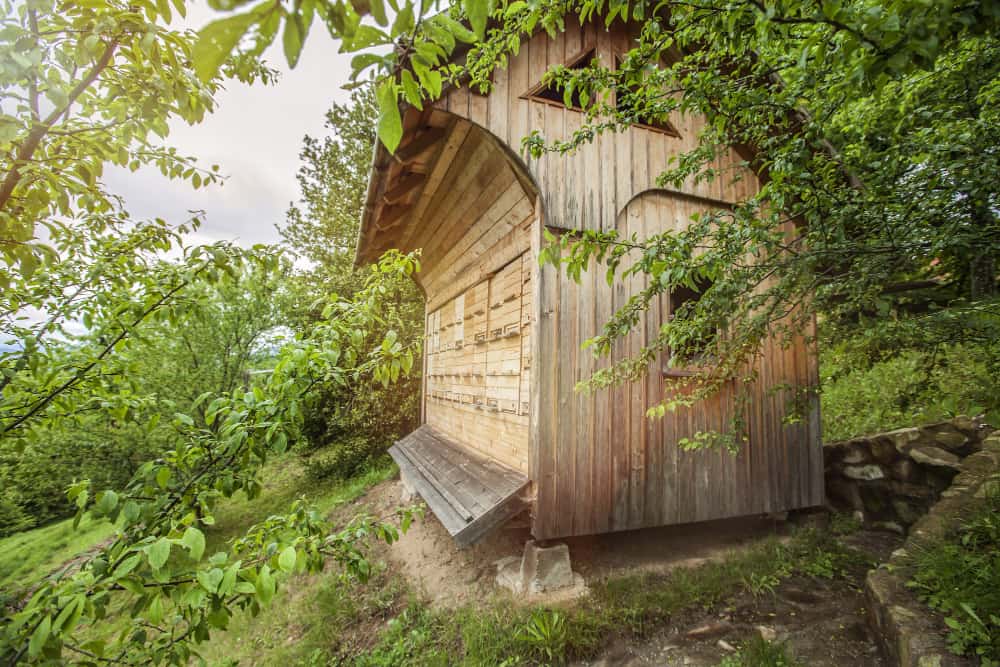 abris de jardin en bois