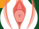prolapsus génital