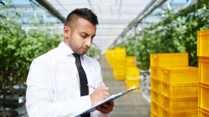 expertise-juridique-pension-alimentaire