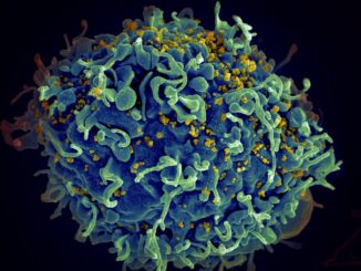 maladies infectieuses