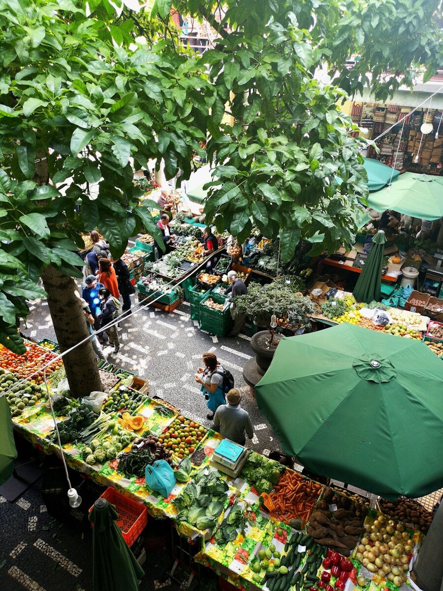 marché provençal