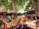 marché provençal